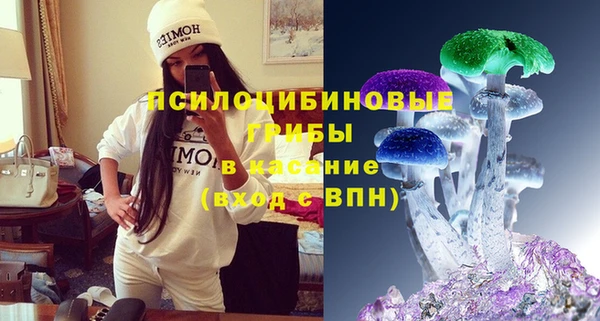 ешки Няндома