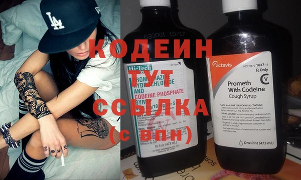 ешки Няндома