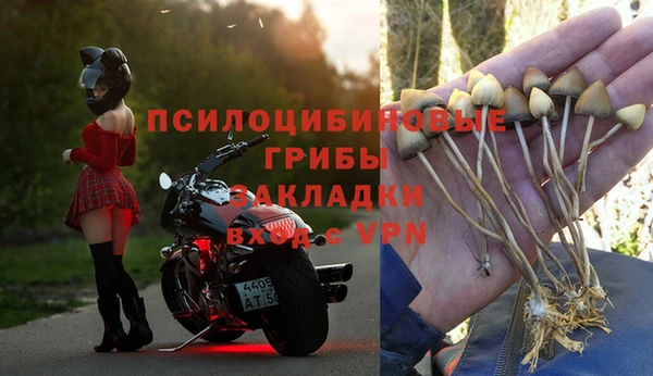 скорость Нязепетровск