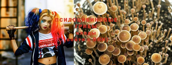 молекула духа Нягань