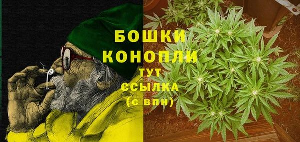 молекула духа Нягань