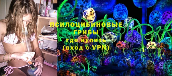 ешки Няндома