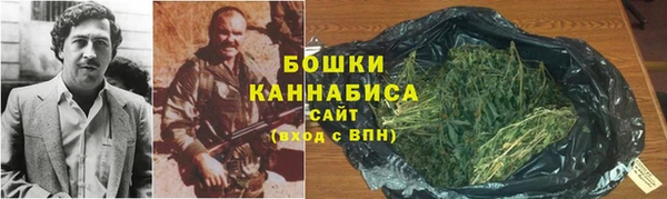 молекула духа Нягань