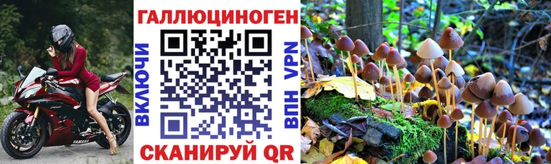 Псилоцибиновые грибы Magic Shrooms Конаково