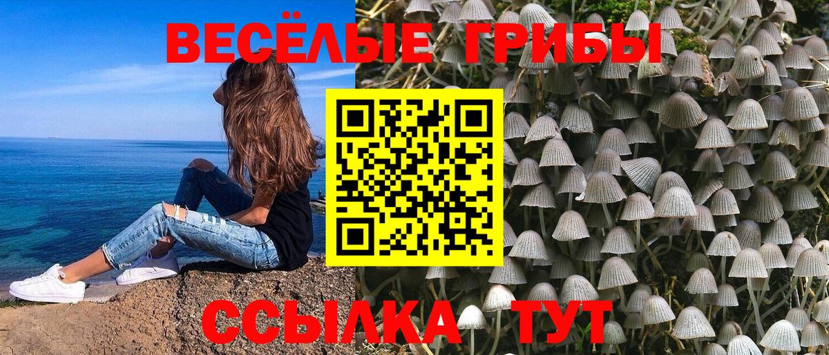 Конаково  Псилоцибиновые грибы Psilocybe  наркотики  Вход с VPN 